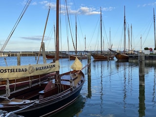 Zeesenboote im Hafen von Dierhagen