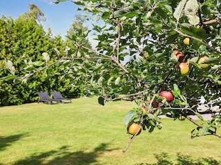 Casa per le vacanze Vaeggerløse  15