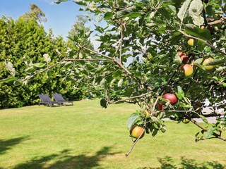 Maison de vacances Vaeggerløse  31