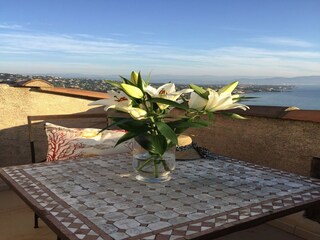 Villa Les Issambres Outdoor Recording 12