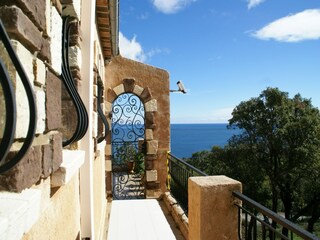 Villa Les Issambres  35