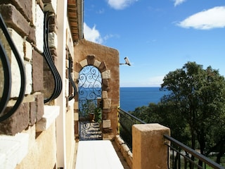 Villa Les Issambres  36