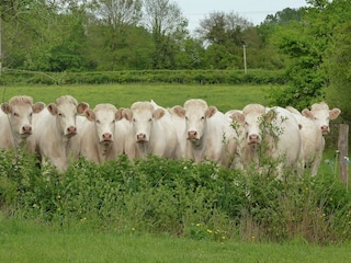 Casa de campo Braize Entorno 22