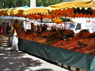 Fattoria Braize Ambiente 25