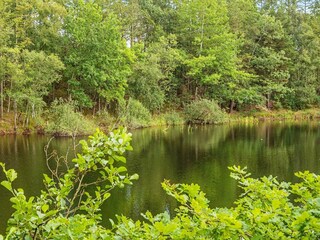 Ferienhaus Troldhede  21