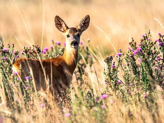 Holiday house Åtvidaberg  27