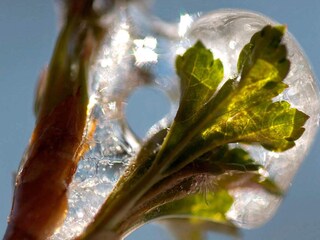 Vakantiehuis Åtvidaberg  28