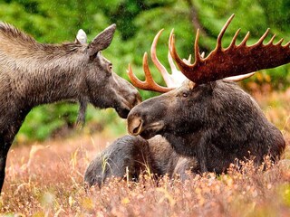 Vakantiehuis Åtvidaberg  27