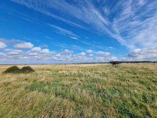 Ferienhaus Skaven Strand Außenaufnahme 6