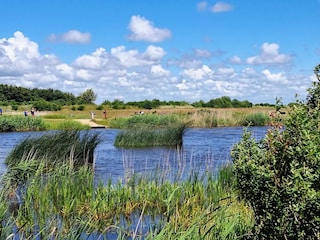 Ferienhaus Skaven Strand  20