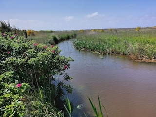 Ferienhaus Skaven Strand  17