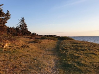 Ferienhaus Skaven Strand  14