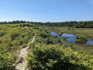 Holiday house Vorupør  9