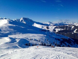 Appartamento Mittersill Ambiente 32