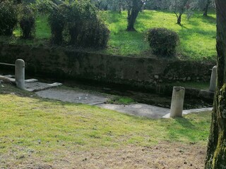 Apartamento de vacaciones San Felice del Benaco Entorno 39