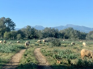 Casa per le vacanze Lloret de Vistalegre Ambiente 24