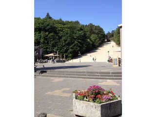 Vakantieappartement Schoorl Omgeving 21