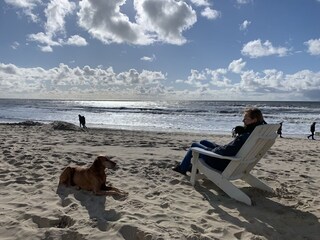 Apartamento de vacaciones Schoorl Entorno 26