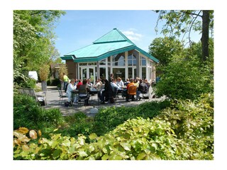 Apartamento de vacaciones Schoorl Entorno 28