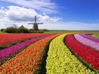 Appartement de vacances Schoorl Environnement 32