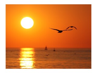 Apartamento de vacaciones Schoorl Entorno 24