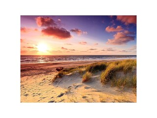 Appartement de vacances Schoorl Environnement 18