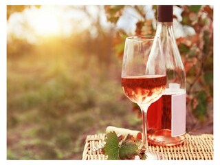 Appartamento per vacanze Schoorl Registrazione all'aperto 4