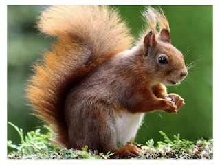 Vakantieappartement Schoorl Omgeving 31