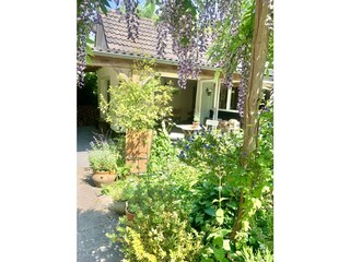 Vakantieappartement Schoorl Buitenaudio-opname 3