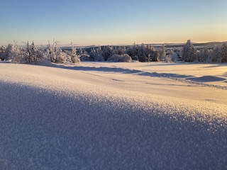 Winter in Zinnwald