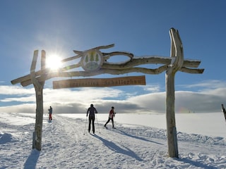 Skiwandern im Winter