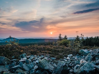 bezaubernde Naturschönheiten bestaunen