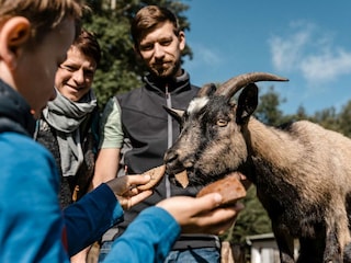 Wildpark Geising