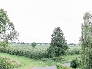 Vor dem Haus / Obstbau