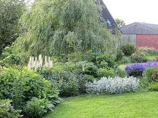 Ferienwohnung Balje Außenaufnahme 11