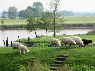 Blick aus dem Fenster
