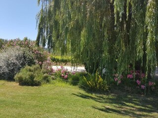 Holiday house Saint-Marcellin-lès-Vaison Environment 37
