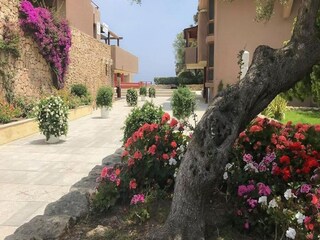 Apartamento Porto Rotondo Grabación al aire libre 10
