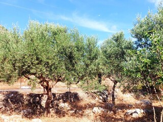Casa de vacaciones Kalamata Grabación al aire libre 13