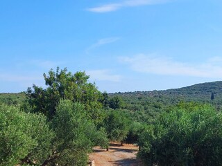 Casa de vacaciones Kalamata Grabación al aire libre 14