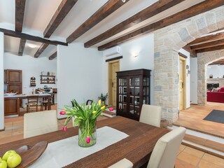 Villa Tinjan Caratteristiche 21