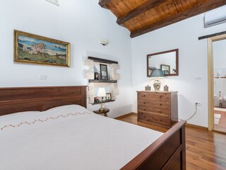 Villa Tinjan Caratteristiche 28