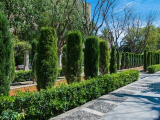 Villa Son Sardina Entorno 35