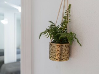 Appartamento per vacanze Torremolinos  45