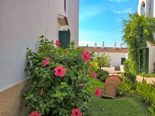 Appartamento per vacanze Arenal d'en Castell Registrazione all'aperto 7