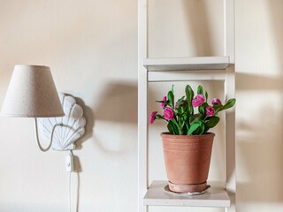 Apartamento Montescudaio  31