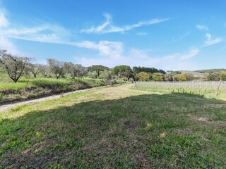 Appartamento Montescudaio Ambiente 27