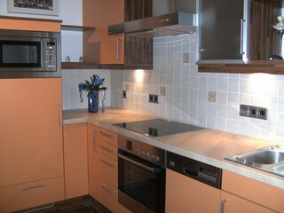 Appartamento per vacanze Abtenau Caratteristiche 3