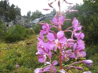 Appartamento per vacanze Abtenau Ambiente 9