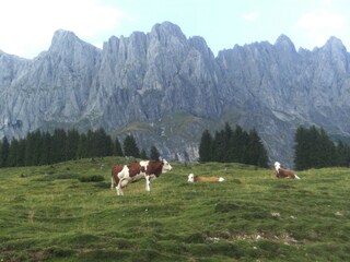 Appartamento per vacanze Abtenau Ambiente 13